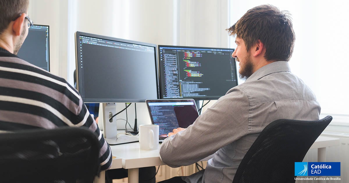 O engenheiro de software
